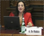 De Robbio.flv's thumbnail image
